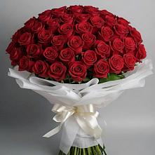 Букет 101 Красная роза Блэк Мэджик в Лотошино