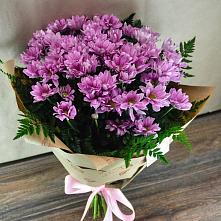Букет цветов из:  Хризантемы #REPLACE_PRED# Лотошино