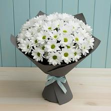 Букет цветов из:  Хризантемы в Лотошино