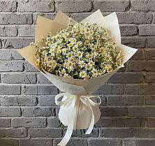 Букет цветов из:  Ромашки в Лотошино
