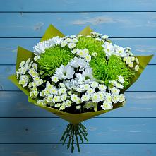 Букет цветов из:  Хризантемы #REPLACE_PRED# Лотошино