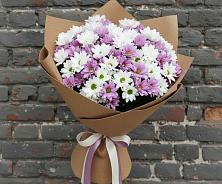 Букет цветов из:  Хризантемы в Лотошино