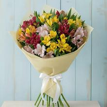Букет цветов из:  Альстромерии в Лотошино