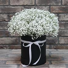 Цветочная композиция из Гипсофила в шляпной коробке в Лотошино