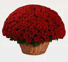 Премиум букет из: Розы в Лотошино