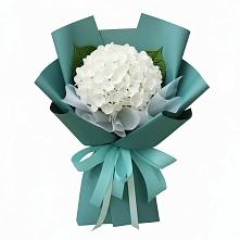 Букет цветов из:  Гортензия в Лотошино